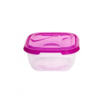 Frigo containers 4 L