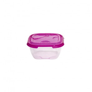 Frigo containers 2 L