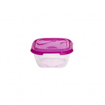 Frigo containers 2 L